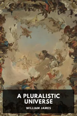 A Pluralistic Universe
