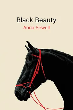 Black Beauty
