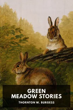 Green Meadow Stories