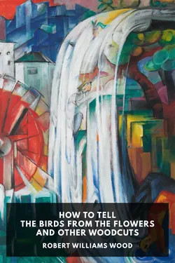 How to Tell the Birds from the Flowers and Other Woodcuts