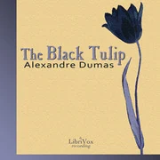 Black Tulip