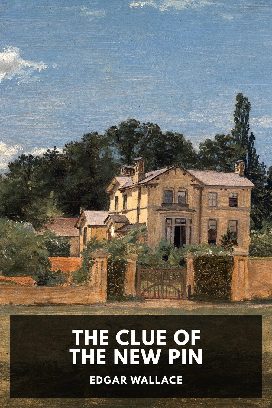 The Clue of the New Pin