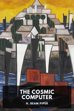 The Cosmic Computer