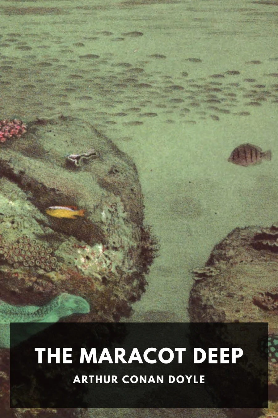 The Maracot Deep