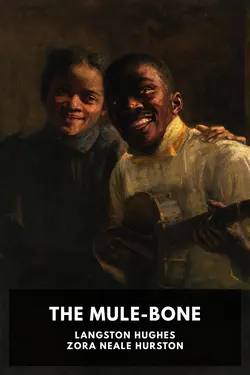 The Mule-Bone