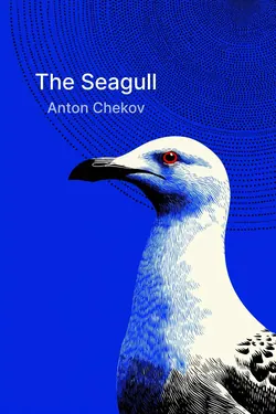 The Seagull