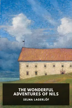 The Wonderful Adventures of Nils