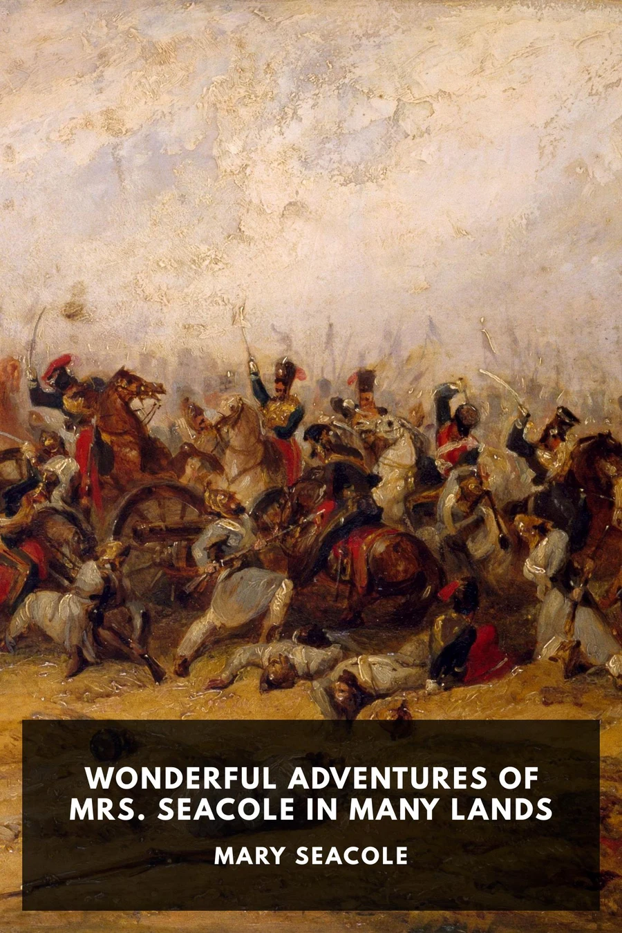 Wonderful Adventures of Mrs. Seacole in Many Lands